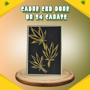 Cadre 2 OR 24 Carats