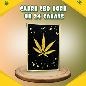 Cadre 1 OR 24 Carats