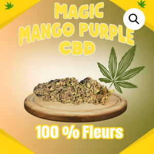 Nouvelles Flors 500g CBD Mango Purple