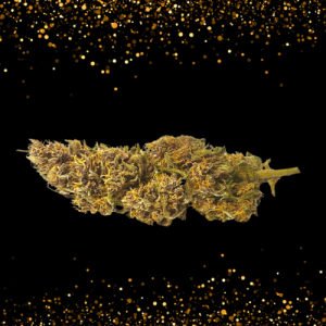 Fleurs purple CBD / 100g