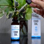 CBD et VIH : Une Révolution Française dans la Prévention du SIDA
