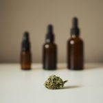 Cannabis médical en France : 2026, l’année de l’attente ?