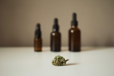 Cannabis médical en France : 2026, l’année de l’attente ?