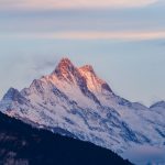 Legalización cannabis Suiza: ¿El modelo sin ánimo de lucro para Europa?