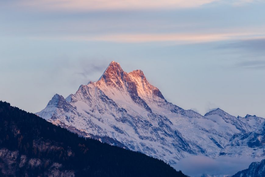 Legalización cannabis Suiza: ¿El modelo sin ánimo de lucro para Europa?