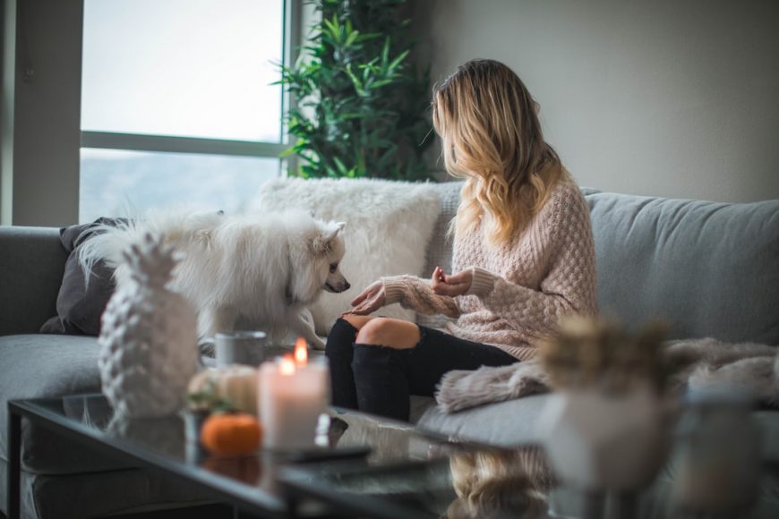 Las Mejores Flores CBD para un Ambiente Zen en Casa en España