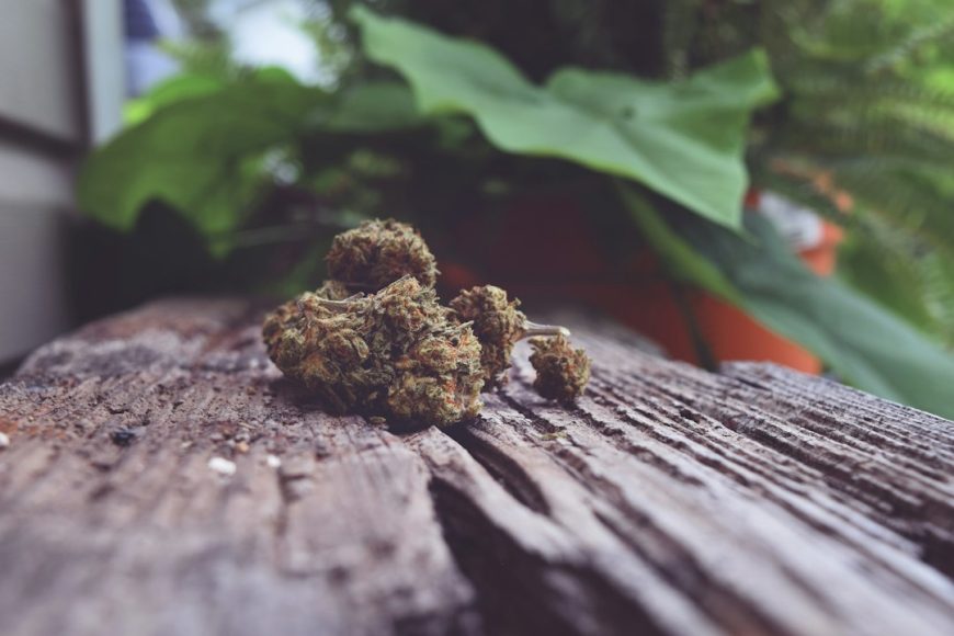 Comprar CBD hash en España: guía para elegir tu resina de cáñamo