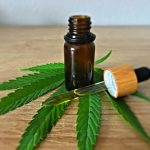 CBD alimentaire interdit France 2026 : décryptage des vrais changements